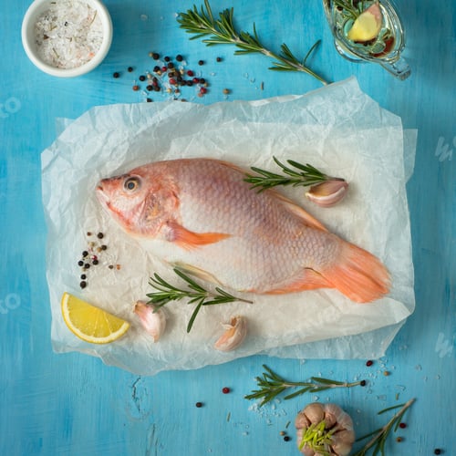 Preview: Fresh raw fish tilapia.