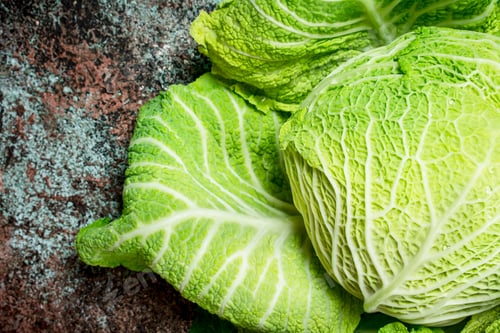 Preview: Juicy green cabbage.