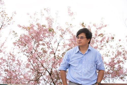 Preview: Man standing amidst blooming cherry blossom trees in a serene outdoor setting