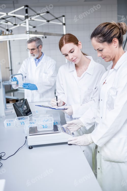 Preview: Scientists weighing samples in rain lab