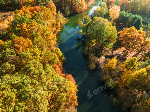 Preview: Colorful trees at sunrise by Brda River in Poland.