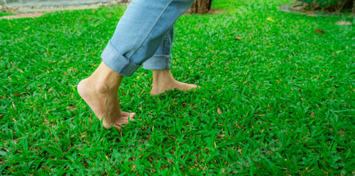Preview: Closeup of barefoot person stepping on lush green grass lawn Nature connection and natural healing