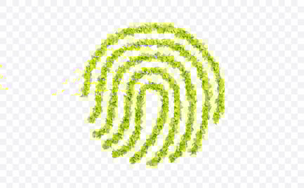 Preview: Leaf Fingerprint Pattern