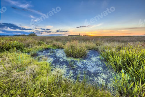 Preview: Marshland landscape in Onlanden