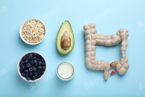 Preview: Layout of intestine model and products to help digestion on turquoise background, top view
