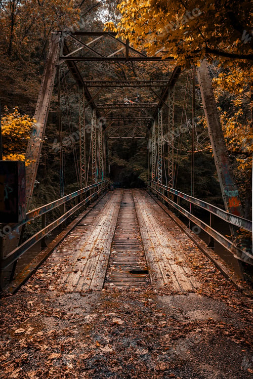 Preview: Beautiful vertical shot of an iron bridge in the forest at fall