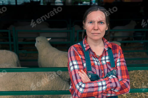 Preview: Female farmer on sheep farm