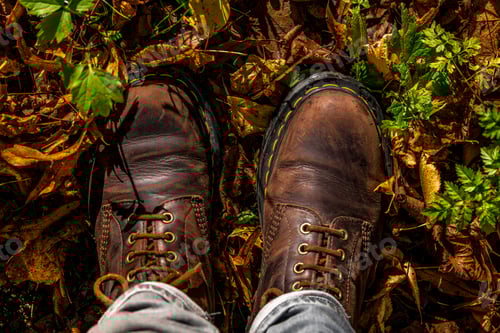 Preview: Looking down on my own brown boots and autumn leaves in the woods.