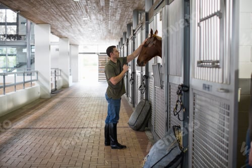 Preview: Male stablehand petting horse in stables