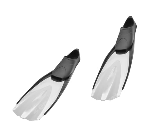 Preview: Flippers