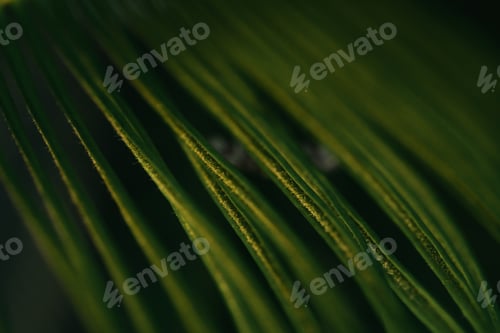 Preview: Green leaf background