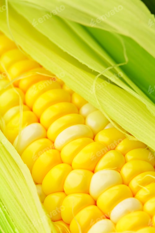 Preview: corn cob
