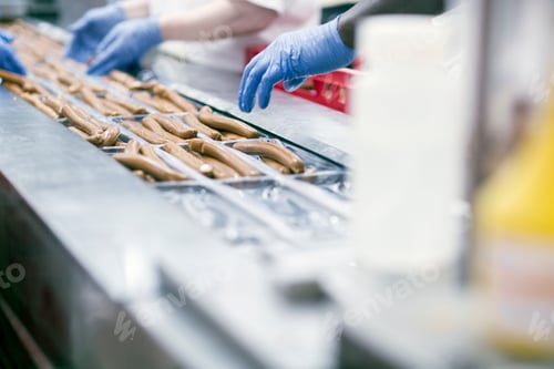 Preview: Factory workers on tofu sausage production line