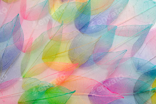 Preview: Colored leafs. Leaf texture pattern. Macro leaves background texture. Floral Design. Leaves. Rainbow