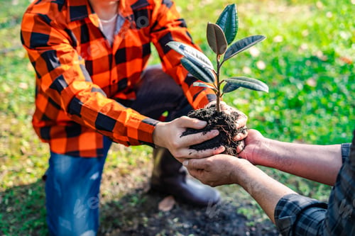 Preview: World environment day afforestation nature and ecology concept The hands of a young male volunteer a