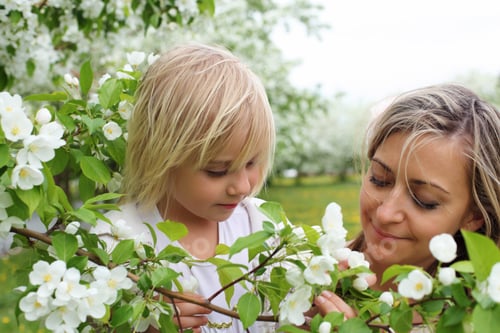 Preview: girl with mother in the park