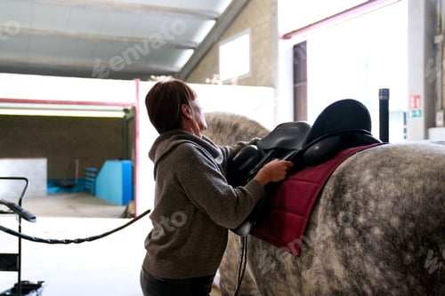 Preview: Grooming Time - Equestrian Care