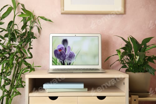 Preview: Houseplants and laptop on table in office interior