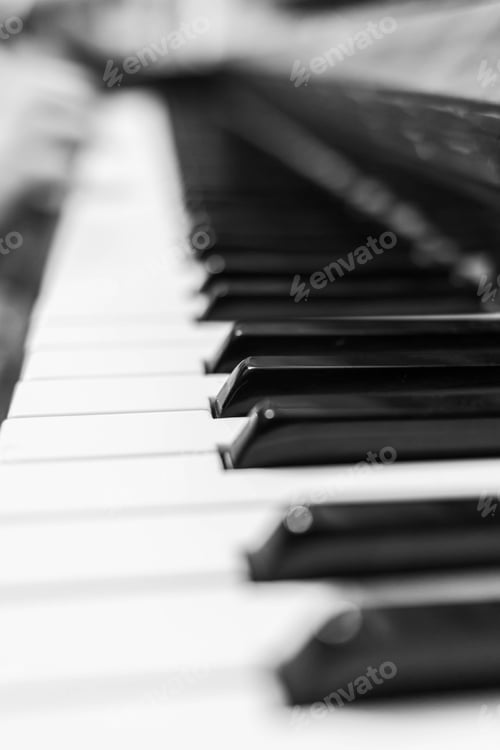 Preview: Piano keys closeup. Musical instrument in black and white photo.