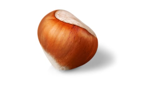 Preview: Organic Brown Hazelnuts. Delicious Healthy Nuts, Concept for Design. Autumn Harvest Snack