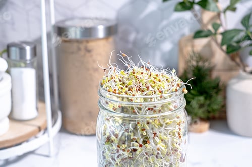 Preview: Top view of the sprout seeds in the jar on the kitchen top