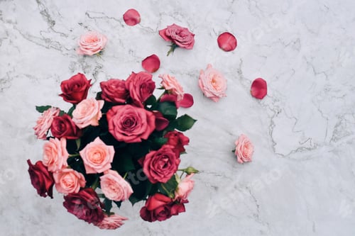 Preview: Top view of roses
