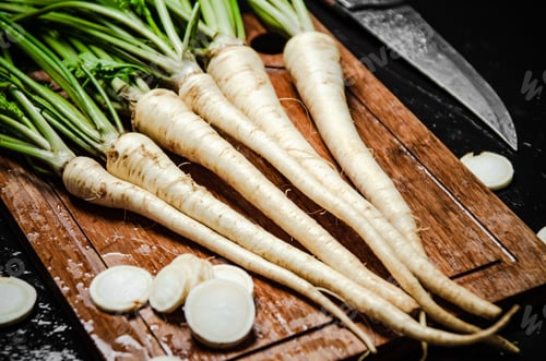 Preview: Fresh parsley root .