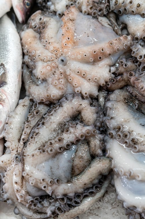 Preview: Fresh seafood display with octopus and fish on market counter in early morning