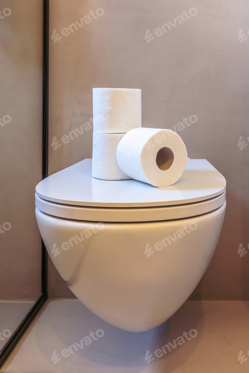 Preview: Toilet paper rolls, hygiene tissue napkins on a toilet bowl lid. Modern bathroom interior detail