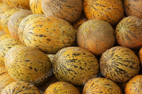 Preview: Stack of ripe melons for sale at farmers market.