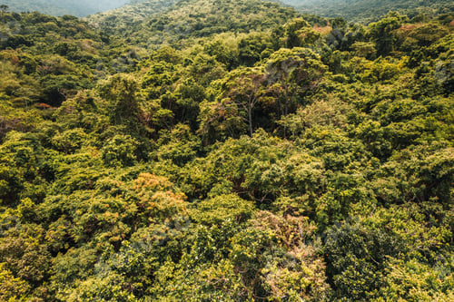 Preview: Big island Ilha Grande Abraao beach in Angra dos Reis, Rio de Janeiro, Brazil