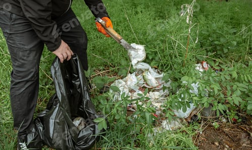 Preview: Close-up of a volunteer cleans the forest from debris.