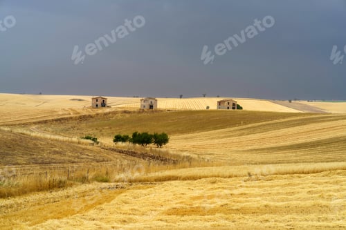 Preview: Country landscape in Basilicata, Italy, at summer