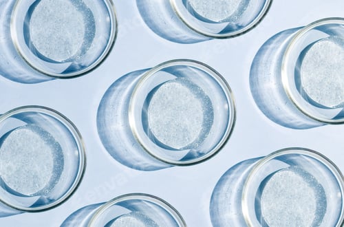 Preview: Petri dish with a sample of a cream smear with a transparent gel serum on a light background