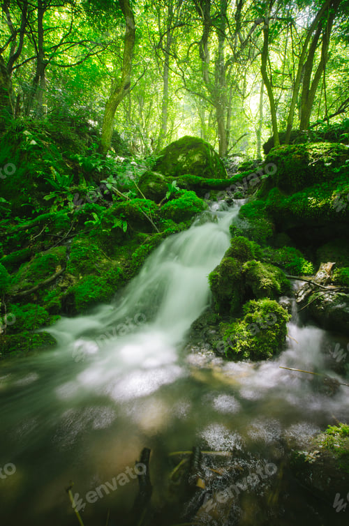 Preview: Waterfall in green jungle