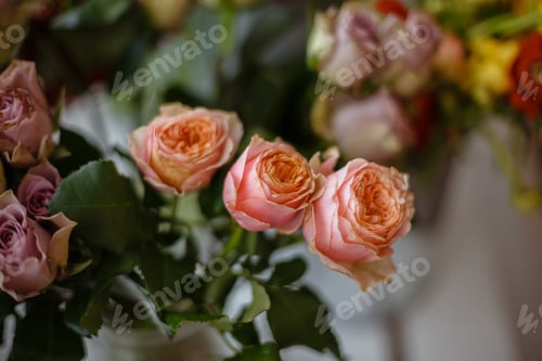 Preview: Stylish powder colors of flowers and sweets