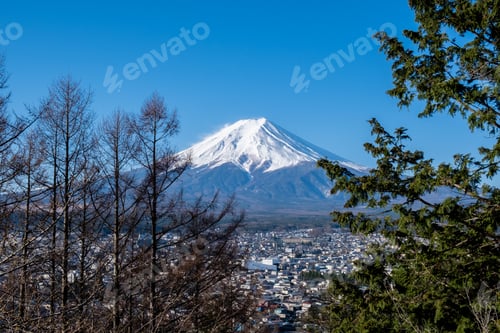 Preview: View of Mount Fuji with tree, Fuji san in Japanese. It is a well known as the symbol of Japan.