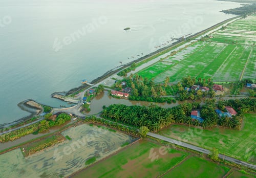 Preview: Drone shot of paddy fields and seascape from high angle view which is located in Perak, Malaysia