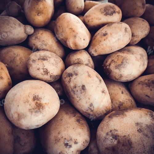 Preview: potatoes raw vegetables food. Fresh organic young potatoes