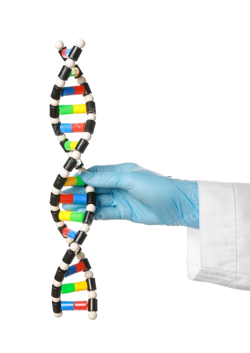 Preview: Scientist with DNA structure model on white background, closeup