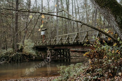 Preview: Wooden bridge in the park