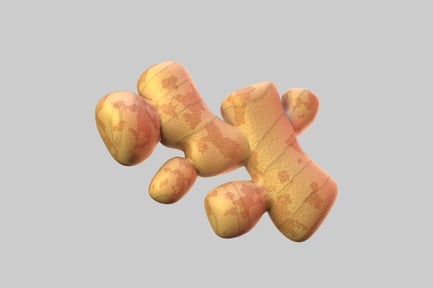 Preview: Fresh ginger root vegetable asset