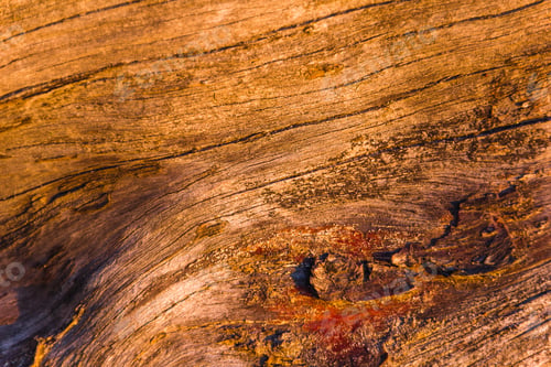 Preview: Macro shot of gorgeous textured wood during the golden hour