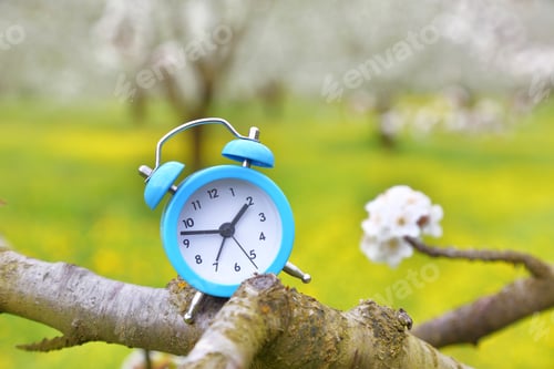 Preview: An alarm clock on a branch of a tree, nature background