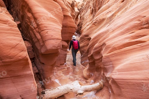 Preview: Slot canyon