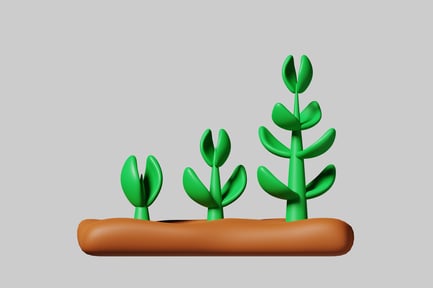 Preview: Three plants growing out of the ground.