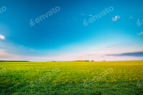 Preview: Agricultural Landscape. Countryside Rural Field Landscape Under