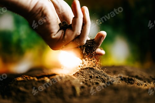 Preview: A close-up photo of a farmer's hands tending to the soil,