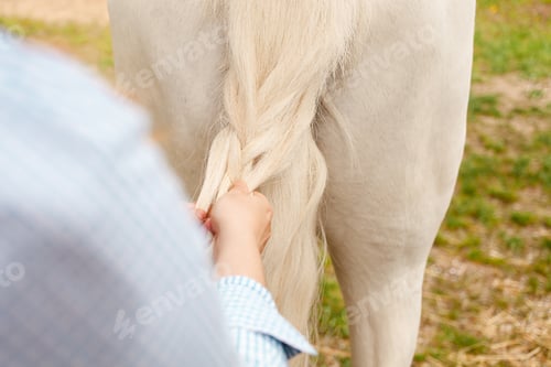 Preview: love, care for animals. nature, spring