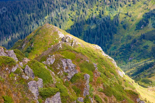 Preview: Panorama of Carpathian mountains in summer sunny day.